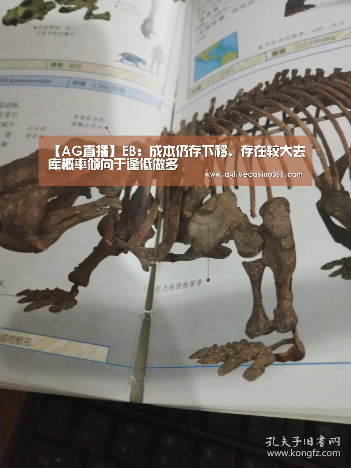 【AG直播】EB:成本仍存下移、存在较大去库概率倾向于逢低做多(图1) AG综合