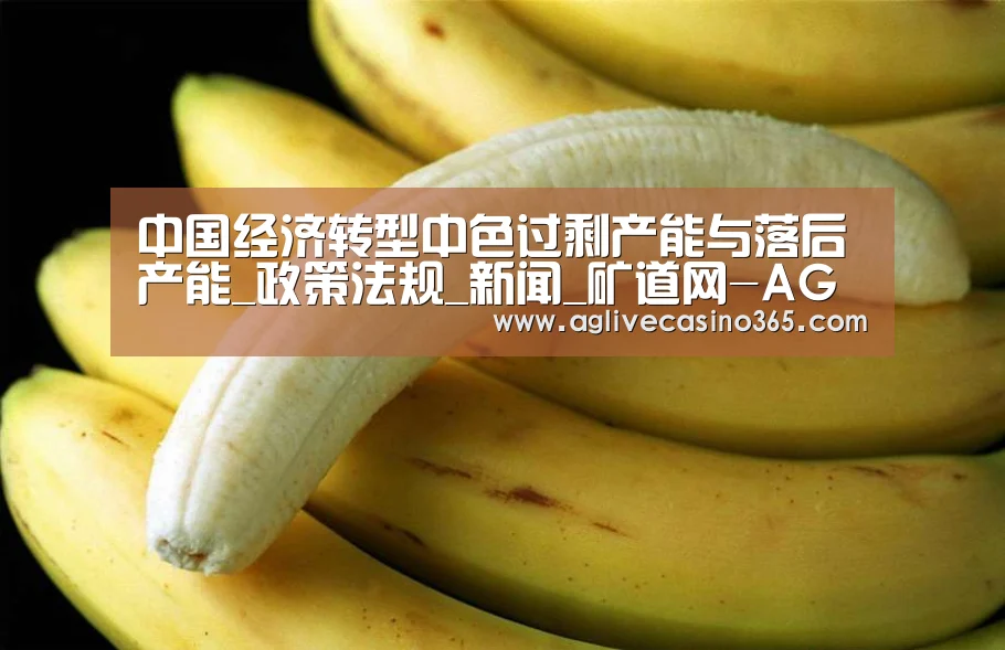中国经济转型中色过剩产能与落后产能_政策法规_新闻_矿道网-AG体育(图3) AG登录