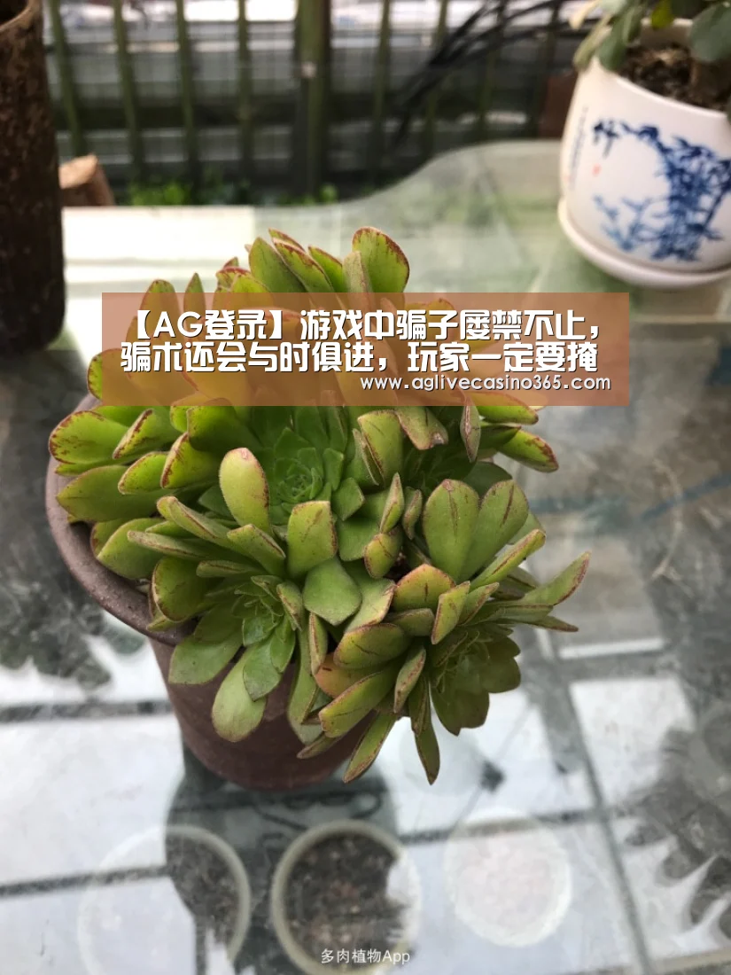 【AG登录】游戏中骗子屡禁不止,骗术还会与时俱进,玩家一定要掩护好账号(图3) AG直播