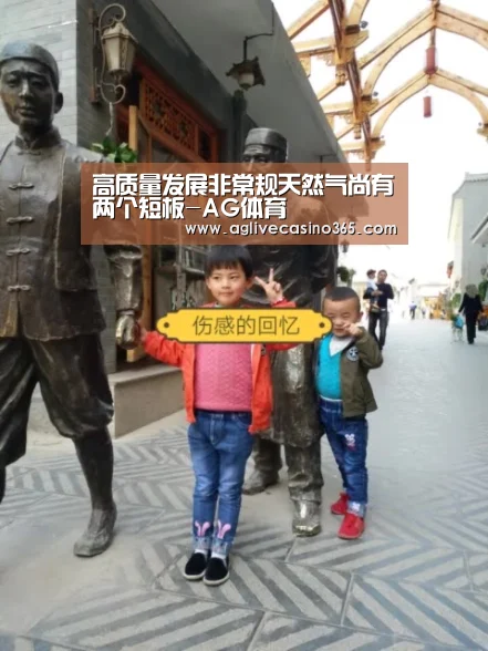 高质量发展非常规天然气尚有两个短板-AG体育(图1) AG体育