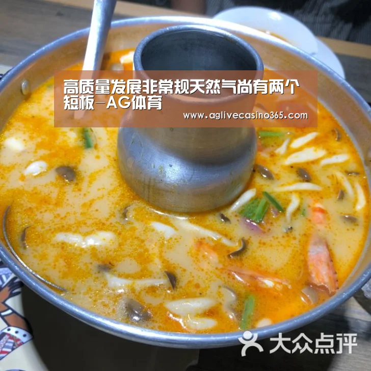高质量发展非常规天然气尚有两个短板-AG体育(图2) AG直播