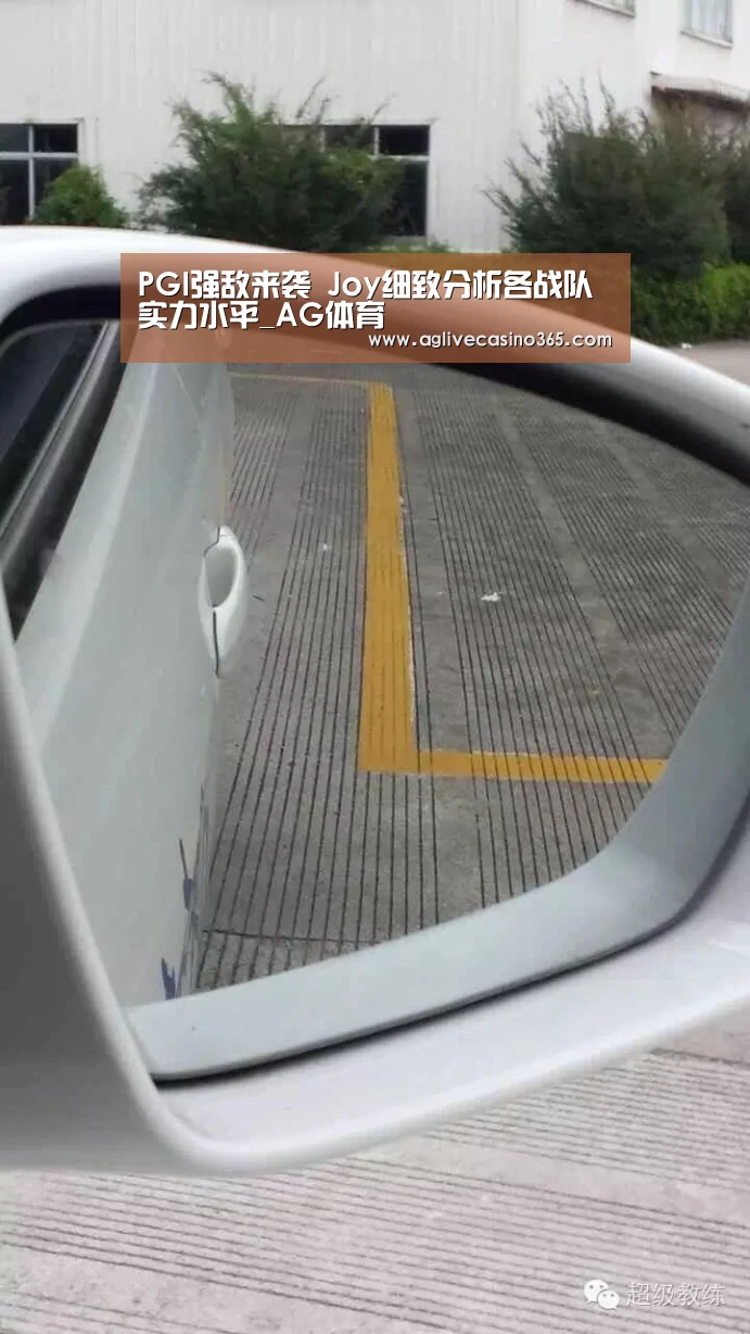 PGI强敌来袭 Joy细致分析各战队实力水平_AG体育(图3) AG直播