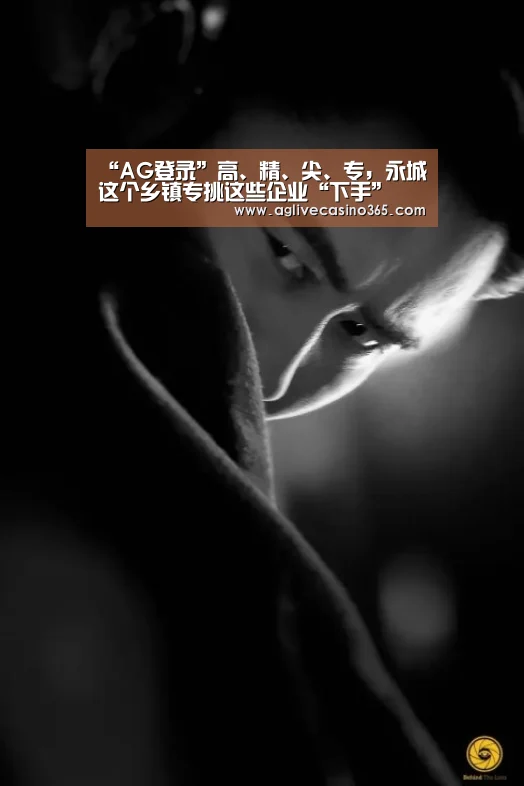 “AG登录”高、精、尖、专,永城这个乡镇专挑这些企业“下手”(图1) AG综合